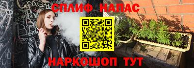 стаф Ливны