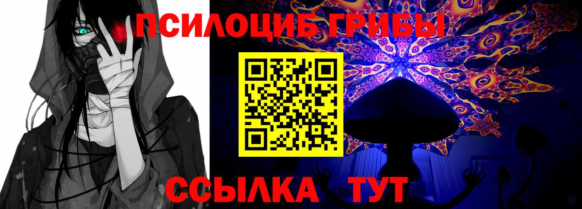 Псилоцибиновые грибы Magic Shrooms  Галлюциногенные грибы Psilocybe  Вход с VPN  Воркута 